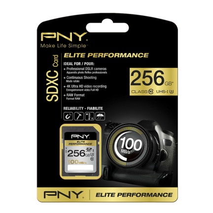 PNY Elite Performance SDXC Flash Memory Card 256GB Class 10 UHS-1 U3 (while stocks last) – PNY