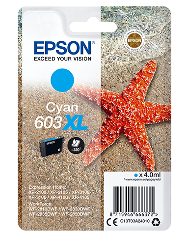SINGLEPACK CYAN 603XL INK – Epson