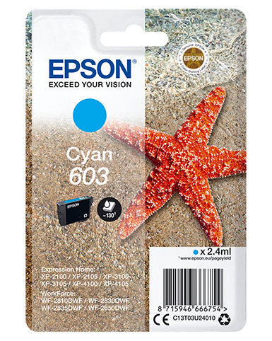 SINGLEPACK CYAN 603 INK – Epson