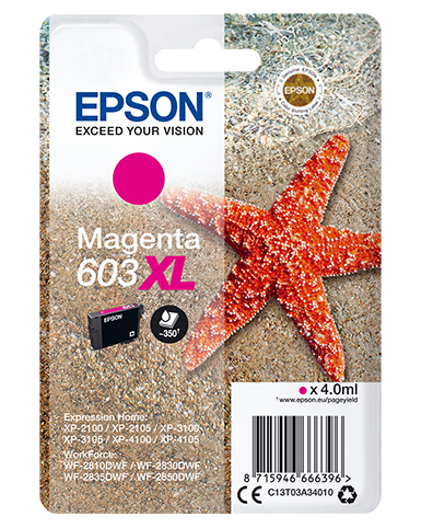 SINGLEPACK MAGENTA 603XL INK – Epson