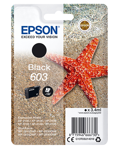SINGLEPACK BLACK 603 INK – Epson