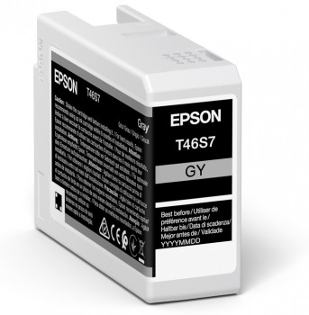 SINGLEPACK GRAY T46S7 – Epson