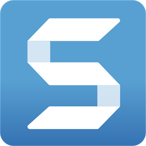 10 - 99 Licences - 1 Year Subscription(Each) – TechSmith