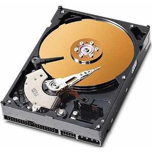 40GB 3,5 IDE 7200rpm – CoreParts