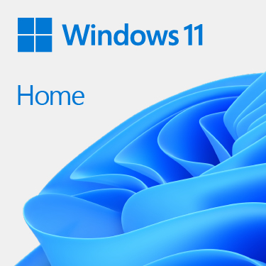 SB WIN 11 HOME 64BIT 1PK DSP DVD / TL ENGLISH – Microsoft