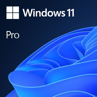 SB WIN 11 PRO 64BIT 1PK DSP DVD TL ENGLISH – Microsoft