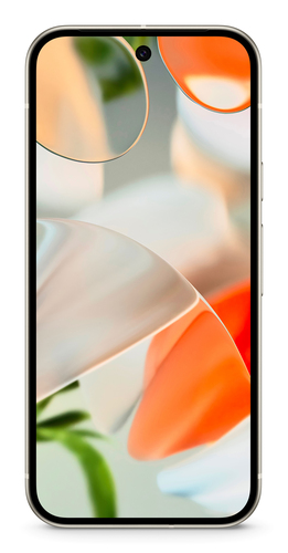 TK4 256GB PORC – Google