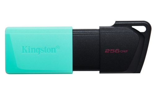256GB DT Exodia M USB3.2 Gen 1 (Black + – Kingston Technology