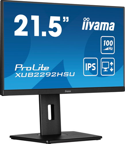 22iW LCD Business Full HD IPS – Iiyama