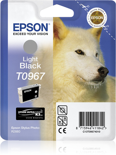 INK CART GREY ULTRACHROME F/ STYLUS PHOTO R2886 – Epson