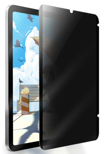 JLC Privacy Magnetic Filter - iPad 10.2 (9th, 8th and 7th Gen) – JLC