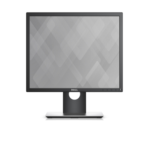 19IN P1917S MNTR – Dell