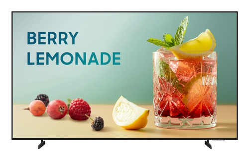 SAMSUNG BE55FX-H BIZ TV – Samsung