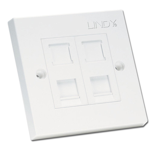 2 PORT CAT6 FLAT FACE PLATE SGLE RJ45 / IDC TERMAT – Lindy