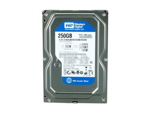 CAVIAR BLUE 250GB 3.5 IDE – Western Digital