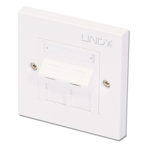 2 PORT CAT6 ANGLED FACE PLATE SGLE RJ45 / IDC TERMAT – Lindy