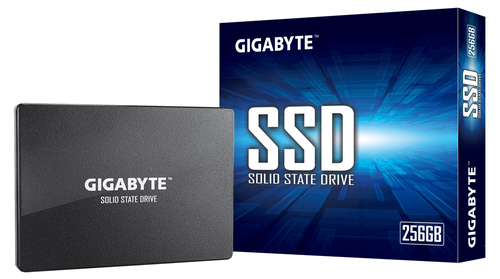 Gigabyte Technology GP-GSTFS31256GTND SSD