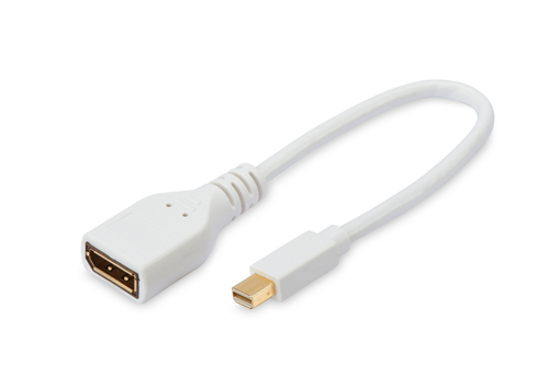 0.2M MINI DISPLAY PORT TO DISPLAY PORT ADAPTOR M-F – Fairline