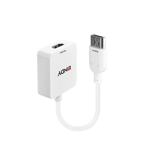 HDMI TO DISPLAYPORT 4K CONVERTER – Lindy