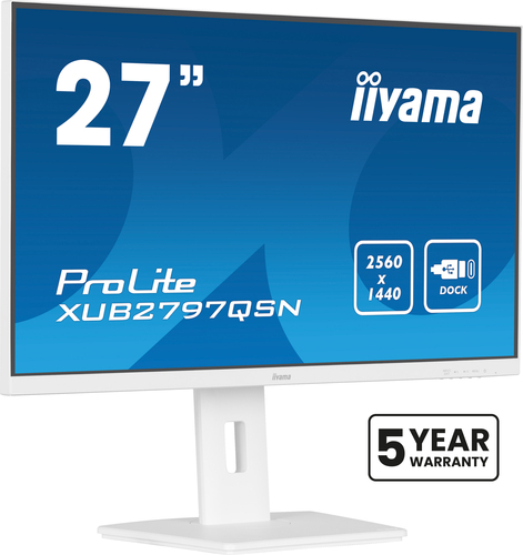 27iW LCD Business QHD IPS USB-C Dock – Iiyama