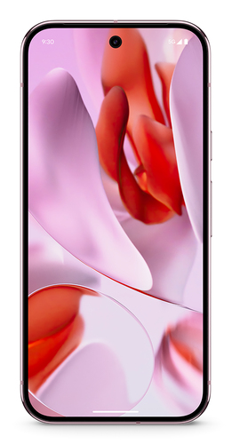 CM4 128GB PINK – Google