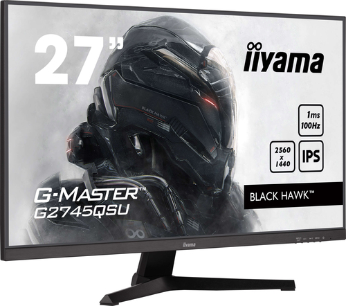 27\W LCD QHD Gaming IPS 100Hz\n\n\n\n – Iiyama