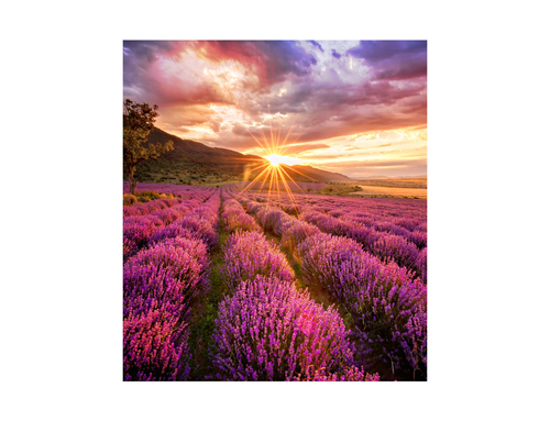 SAMSUNG LED - IF-E 1.5MM CABINETS – Samsung