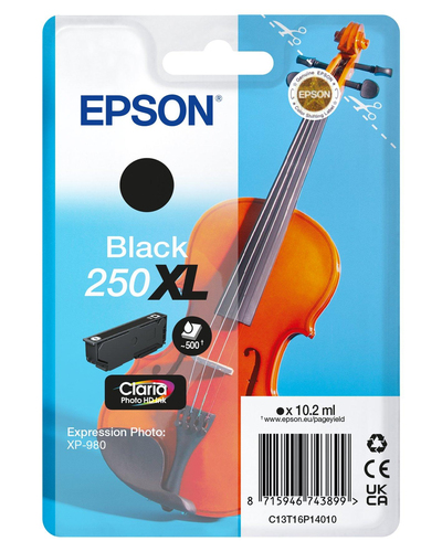 SINGLEPACK BLACK 250XL INK – Epson