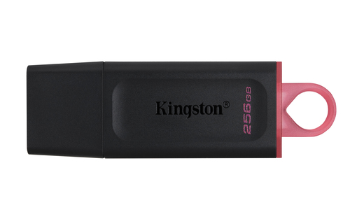 256GB DT EXODIA USB 3.2 GEN 1 (BLACK + PK) – Kingston Technology
