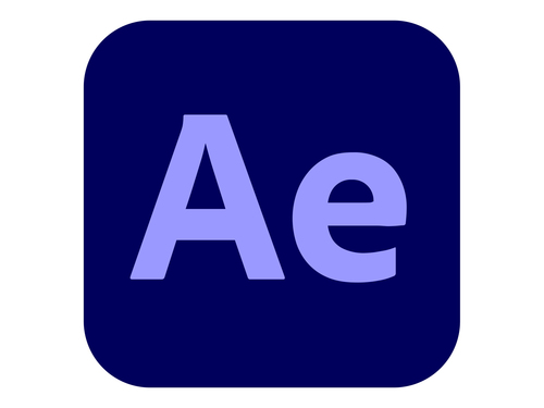 Adobe 65304607CA14A12 Software Licence