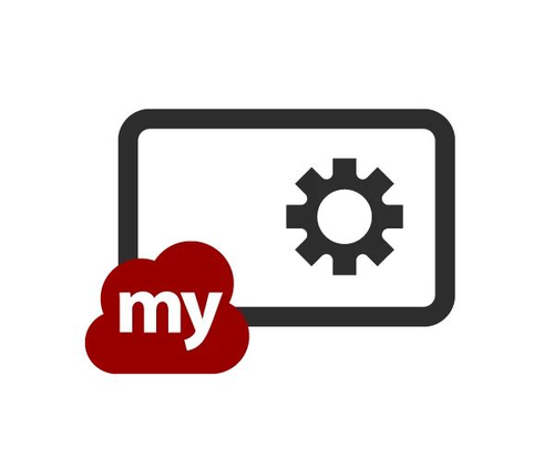 Manager advanced 1 year 1 – ViewSonic