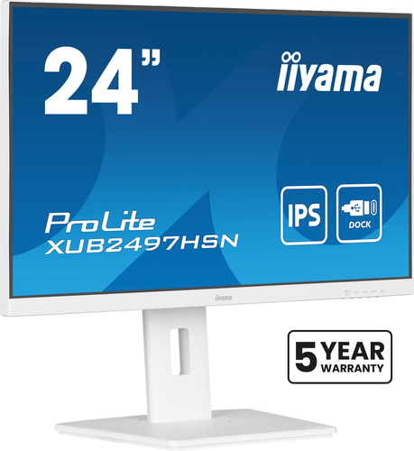 24iW LCD Business Full HD IPS USB-C Dock – Iiyama