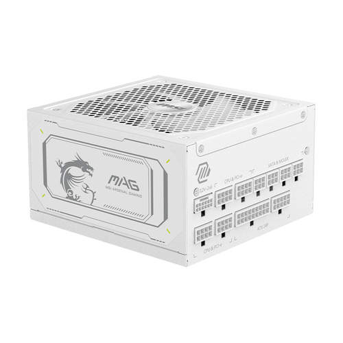 Power Supply Unit 1000 W – Micro-Star International