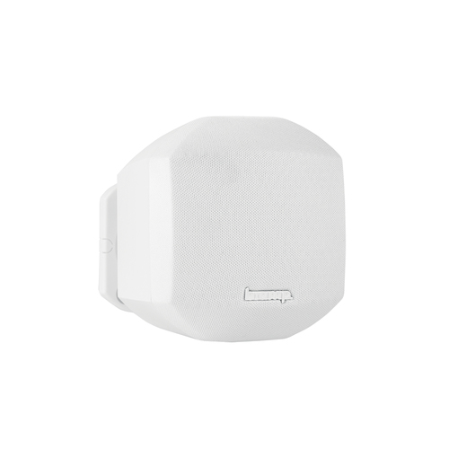 2.5" Compact Design Loudspeaker PAIR - White – Biamp