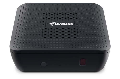 4k NDI player with Full support for NDI 5 – BirdDog