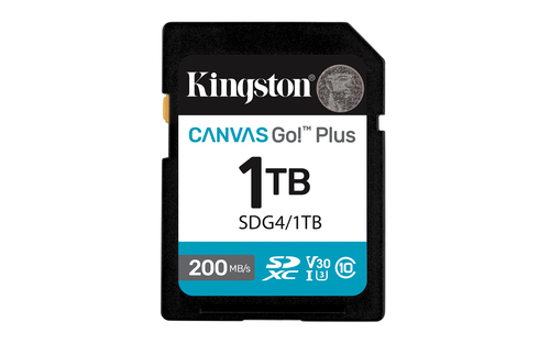 Kingston SD Card – Kingston Technology